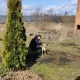 konrad.brodnicki1
