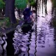 jankunreturn