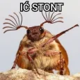 Ić_