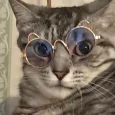 Pixel_Cat