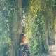 natalia.pacyga