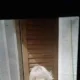 niedzielszczauka
