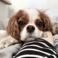 RottenPancakeXO
