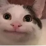 cmita