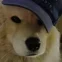 eskimos2137