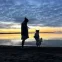 pimpmypet.gdynia