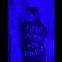 wiki.kuch1506
