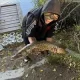 janosnajper235