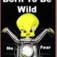 Tweety