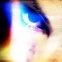 evica