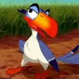 Zazu