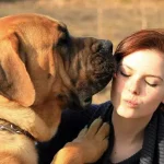 marta.ostrowska.tosa