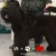 Ewa R. 8