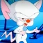 mr.mouse