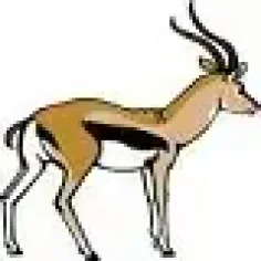 gazela