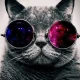 agata.halas.dev