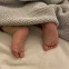 Luli
