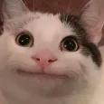 Zięciu