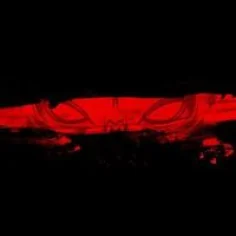 adamski.mateusz.1991