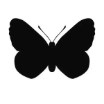 Quintana